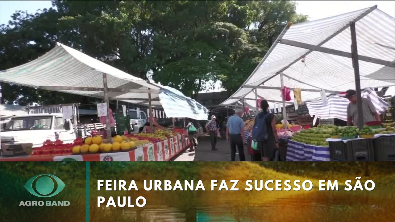 Feira urbana aproxima produtor e consumidor | Agro Band