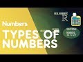 Understanding the Real Number System
