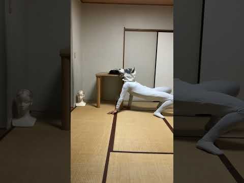 【Dog putting a wig on a mannequin】#Schumacher #シューマッハ #AGT #dog