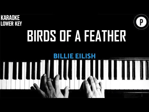 Billie Eilish – Birds of a Feather LOWER KEY Slowed Acoustic Piano Instrumental Cover [MALE KEY]