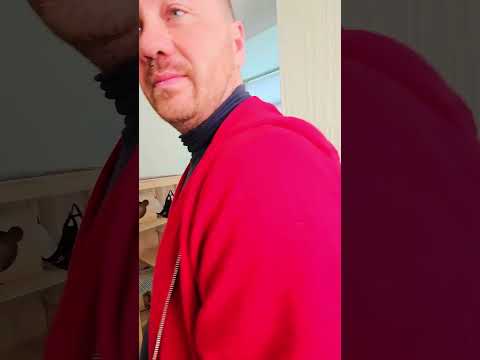 Звериные выходки белки Тиффани #белкавдоме #squirrel