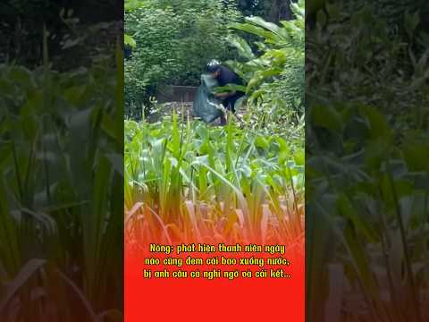 Cái bao thôi chứ có cái gì đâu