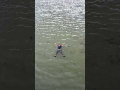 #tseries #music #song #funny