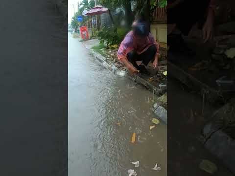 Remove More Debris Clogged Drain #unclog #clean #drain #shorts