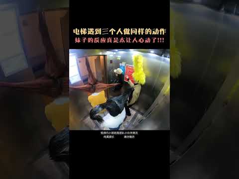 電梯人同化社會實測！ 當電梯裡出現殺死馬特家族時，你會做出什麼反應！