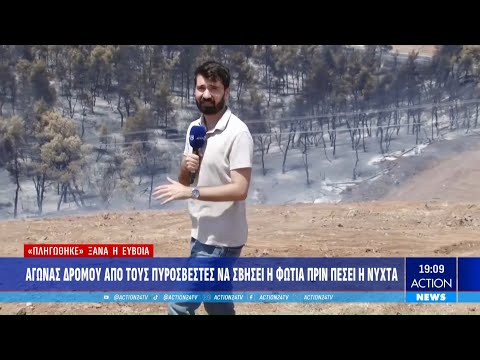 Εύβοια: Στάχτη έγιναν εκατοντάδες στρέμματα δάσους - Σώθηκαν οι οικισμοί Πισσώνας, Τριάδα και Αφράτι Εύβοια: Στάχτη έγιναν εκατοντάδες στρέμματα δάσους - Σώθηκαν οι οικισμοί Πισσώνας, Τριάδα και Αφράτι
