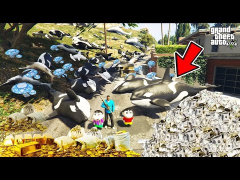 GTA5   Franklin, ShinChan Stealing Diamond Car & Gold Military Car and Earn $1000000000  In gta v