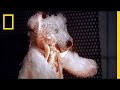Toy Safety Testing and Development