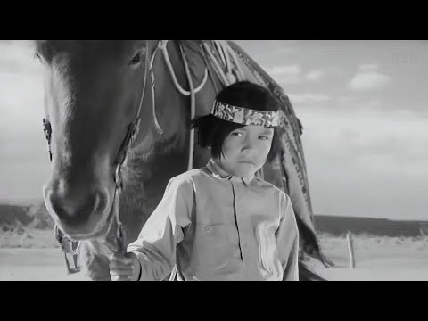 Navajo (Drama, 1952) Norman Foster | Documentary