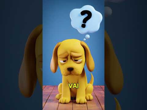 POR QUE OS CACHORROS NÃO GOSTAM DE BANHO #shorts