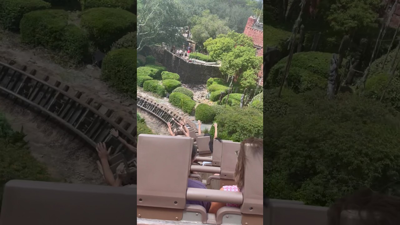 Expedition Everest at Disney’s Animal Kingdom #rollercoaster #themepark