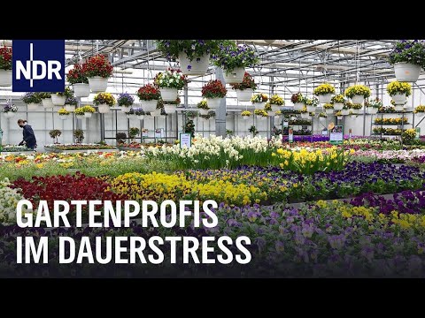 Frühling in Hamburg: Gartenprofis im Dauerstress | Die Nordreportage | NDR Doku