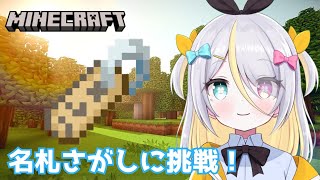 【Minecraft】ネコちゃんの名札探し！【蜂蜜ぷりん/ぶいぱい】
