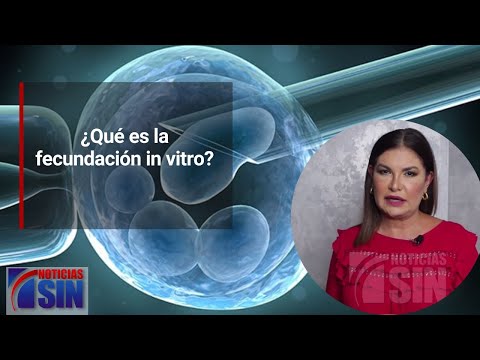 La Consulta: ¿Qué es la fecundación in vitro?