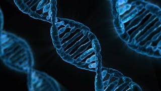 DNA Structure and Replication - AP Biology
