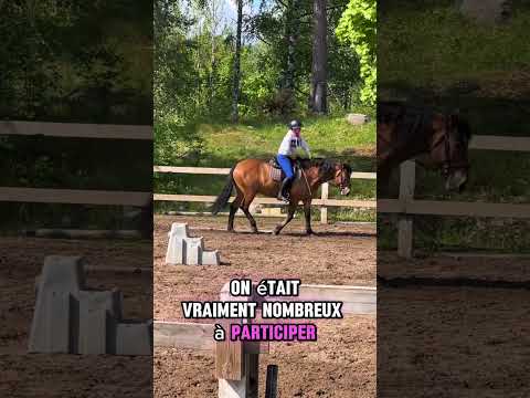 DERNIÈRE SÉANCE DE DRESSAGE EN FINLANDE 🇫🇮 #équitation #horse #equestrian