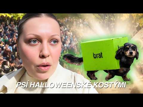 PSI SOUTĚŽÍ O NEJLEPŠÍ HALLOWEENSKÝ KOSTÝM | NYC diaries