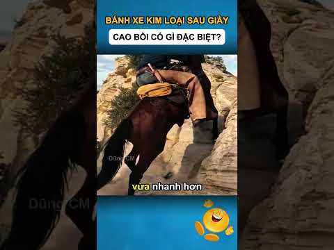 Bánh Xe kim loại Sau Giày Cao Bồi Có Gì Đặc Biệt?