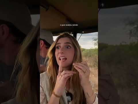 O nosso pneu furou com um leão do nosso lado (no meio de um safari na África) 🥵 #africadosul #safari