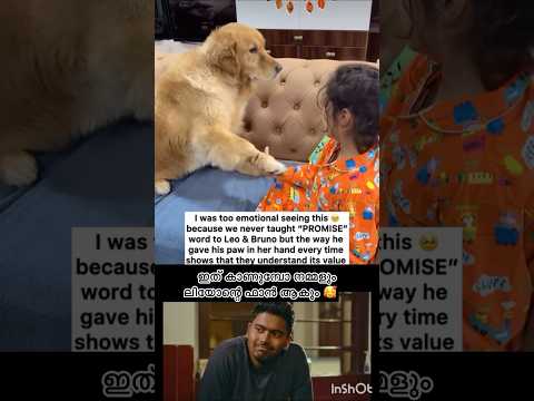 അവന്റെ വിഷമം കണ്ടിട്ട് സഹിക്കുന്നില്ല #shorts #dog