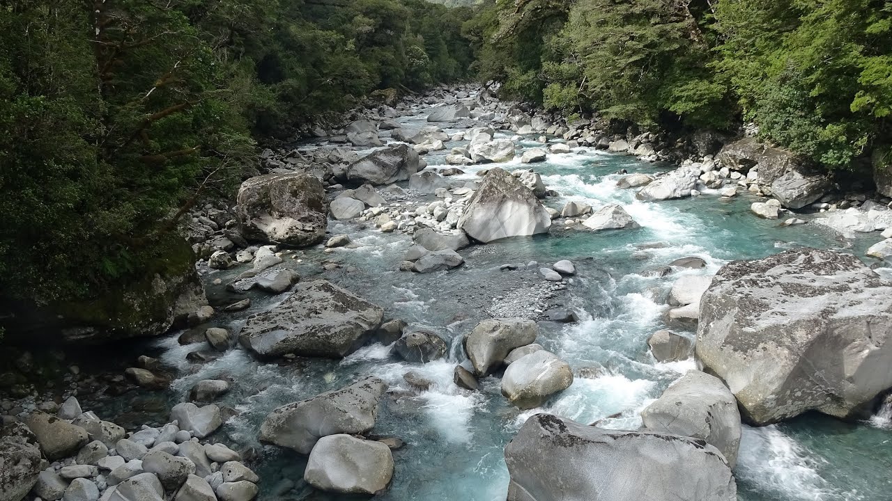 New Zealand Road Trip 2019 - Milford Sound to Te Anau