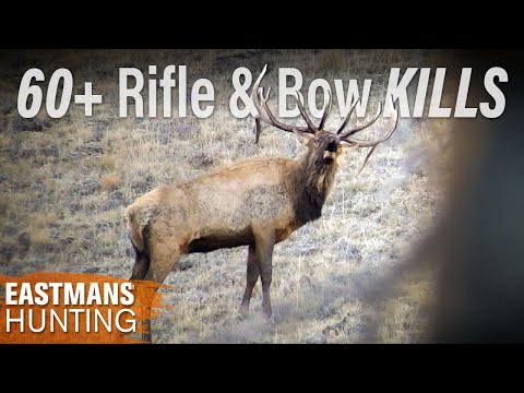 60 Hunts in 20 Minute! @EastmansHuntingJournals