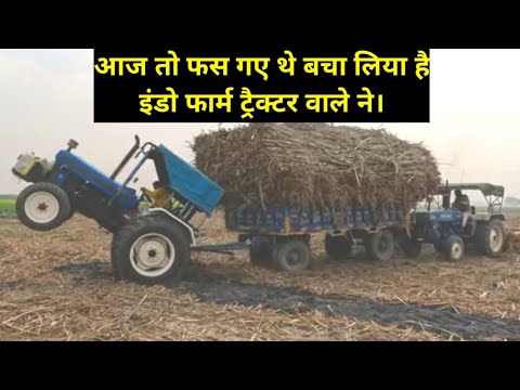 छोटी सी गलती की है। ड्राइवर ने कोई बता सकता है क्या? New holland 5620 tractor & Indofarm tractor