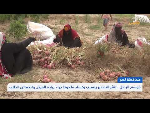 قناة بلقيس الفضائية