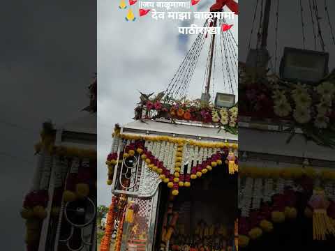 🙏🚩माझ्याकड प्रत्येक नमुन्याची लोक येणारच | म्या समदयासणी पावणारा देव हाय |