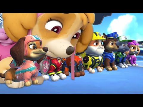 PAW Patrol Mighty Pups+Skye+Chase Save Adventure Bay! Compilation 24   Nick Jr. HD