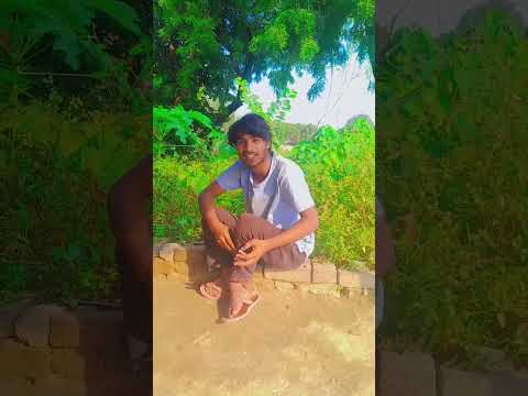 Pahada Padi #🤣Pada ke# Pada Pada# Pada do🤣 #na jor #se Pada# Baba Dham🤣# Mein Daud #ke Pada#😂🤣🤣🤣