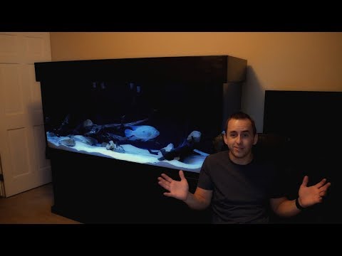 300 Gallon Custom Aquarium - Project Intro I'm excited to announce the beginning of a new project, a 300 gallon custom aquarium to replace my e
