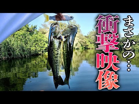 出来すぎでしょ!!テント釣り生活で遂に奇跡が起きてしまった...【ブラックバス釣って伝説残すまで帰れません⁈ 後編】