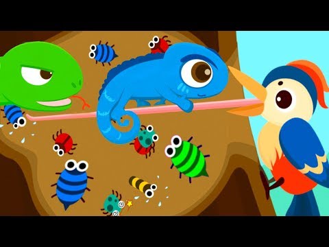 Fun Baby Panda Animal Games - Baby Explore New Learning About Animals Hunt In Forest Of Friends