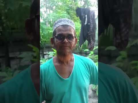 আপনারা কি নামে চিনেন এই পাখি কে ? #unfreezmyaccout