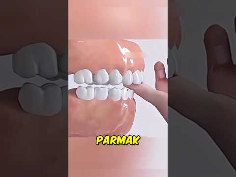 Ağzı Kapalıyken Yemek Yiyen İnsanlar 🦷😬
