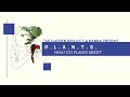 Plant Needs and Functions