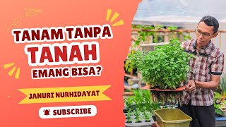 Berkebun di rumah lahan kecil dengan paket hidroponik pemula