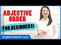 Understanding Adjective Usage in English
