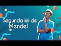 Understanding Mendel's Second Law
