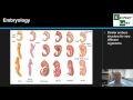 Evolutionary Concepts and Evidence