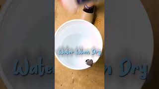 SICK TO HEALTHY | ORGANIC SLOW RELEASE PLANT TRANSFORMATION