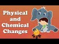 Exploring Physical and Chemical Changes
