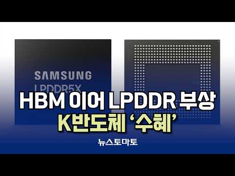 K반도체, <strong>빅테크</strong> 메모리 전략 다변화로 ‘수혜’ [말하는 기자들_산업_1021]