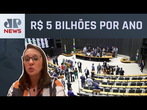 “Garantimos manutenção 100% do Perse em 2024, avalia deputada”