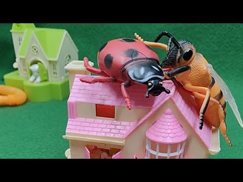 cute dog 🐕 coin collection live