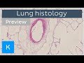 Histology of Lung Structures