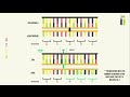 Mutations and Their Effects