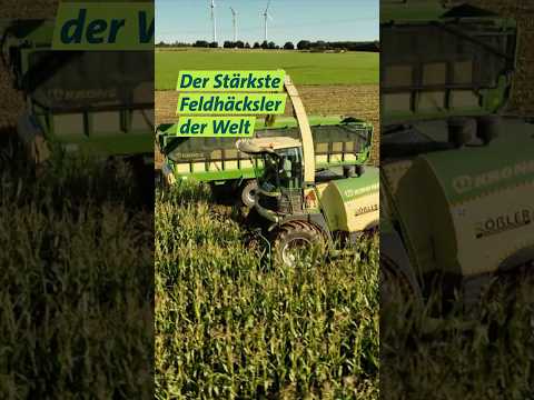 Größter Häcksler #unserland #maishäckseln #mais  #farmtok  #maisernte  #landwirtschaft #shorts