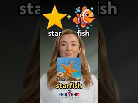 Compound Words - Learn English Vocabulary